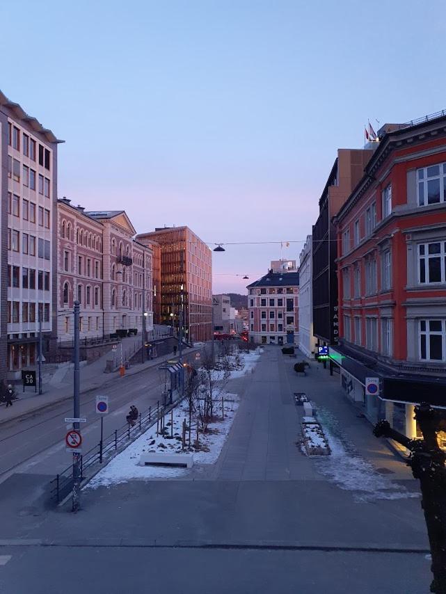Bright And Charming Apartment From 1878 With View To The New National Museum In オスロ エクステリア 写真
